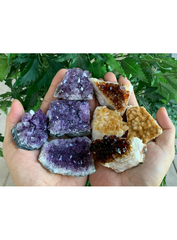 8 pieces Amethyst Citrine Cluster Collection Box: 2-3 Inch Geode