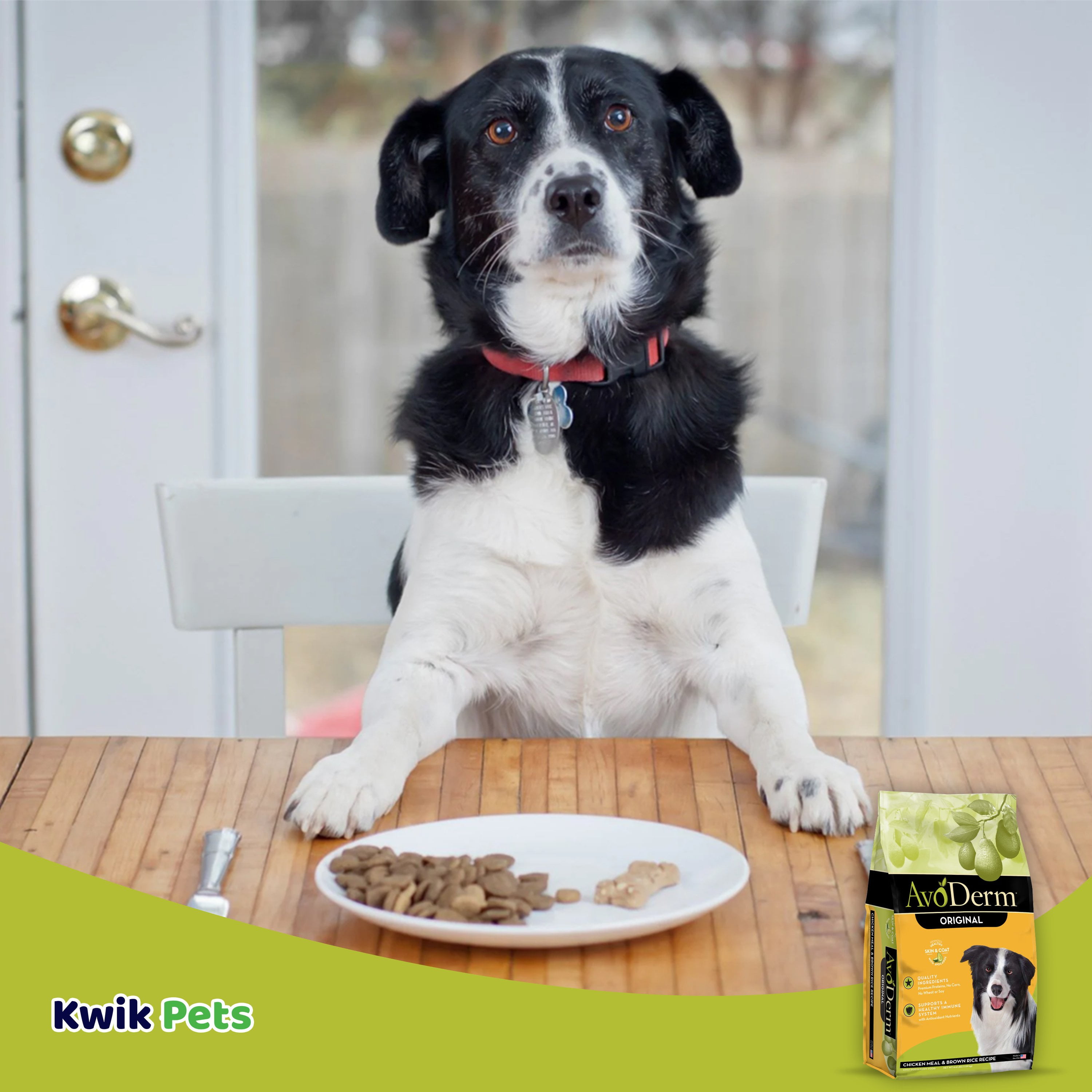AvoDerm Natural Chicken Meal and Brown Rice Formula Weight Control Dog Food, 4.4-Pound