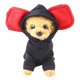 thumbnail image 3 of Autumn and winter warm pet clothes cat clothes big ears dog sweater693, 3 of 5