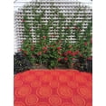 thumbnail image 2 of Molly Red, 2 of 6