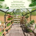 thumbnail image 7 of NETAJE 6'x9' Polycarbonate Greenhouse, Large Aluminum Walk-in Green House for Backyard, 7 of 7