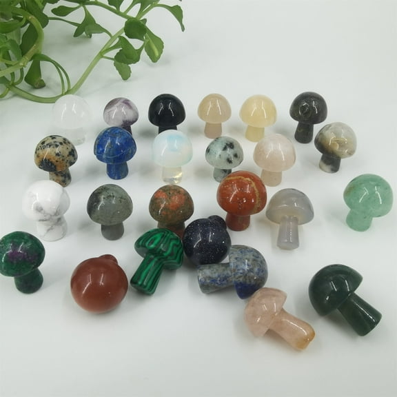 Crystland 10pcs Natural Carved Mini Mix Blend Mushroom Quartz Crystal Healing Gift