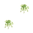 thumbnail image 1 of Hojas Falsas Vides Plantas Colgantes Artificiales Ounissouiy Tipo 2 50*40cm 2Conjunto, 1 of 6