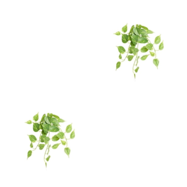 Hojas falsas Cateissary vides plantas colgantes artificiales 50*40cm 2Conjunto