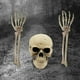 thumbnail image 3 of Esqueleto Humano BLESIY Decoración de Halloween Modelo de Anatomía, 3 of 8