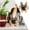 G, variant on Wooden Animal-Shaped Eyeglass Holder,Handcrafted Decorative Desktop Stand for Home and Office,Gift Idea