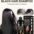 thumbnail image 2 of Black Instant Hair Color Shampoo for Gray Hair - Easy Hair Dye Shampoo 3 in 1- 100% Grey Coverage - Herbal Coloring in Minutes for Women & Men, 2 of 6