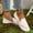 #361-White, variant on Roncen Women's Casual Flats with Floral Embroidery - Fashion Round Toe Slip-On Ballet Shoes, Versatile and Breathable Design for Daily Wear