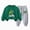R222-J, variant on NOLDARES Baby Toddler Boy Fall Winter Clothes Print Sweatshirt Tops Camisoles and Pants Toddler Outfits Set 2pcs Casual Clothing(E,2-3 Y)