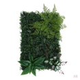thumbnail image 1 of 6 X Plantas Artificiales Lawn Suministros Artesanal de Decoración Interior Navidad Soledad Pared de fondo de césped de planta, 1 of 7