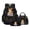 Cat Book Geometric, variant on Whale Undersea Print Backpack Set 17" School Bag with Thermal Lunch Bag Pencil Case 3 in 1 Set Back to School Gift for Boys Girls Elementary Middle High School