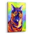 thumbnail image 2 of Epic Art 'Colorful Tortoiseshell Cat' by Rebecca Wang Art, Acrylic Glass Wall Art, 24"x36", 2 of 8