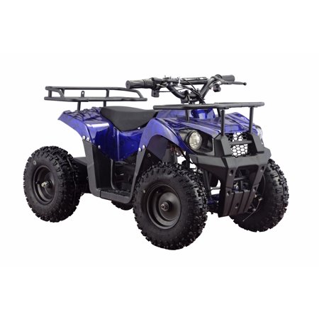 Monster 36V 500W Electric Quad Battery-Powered MINI ATV ...
