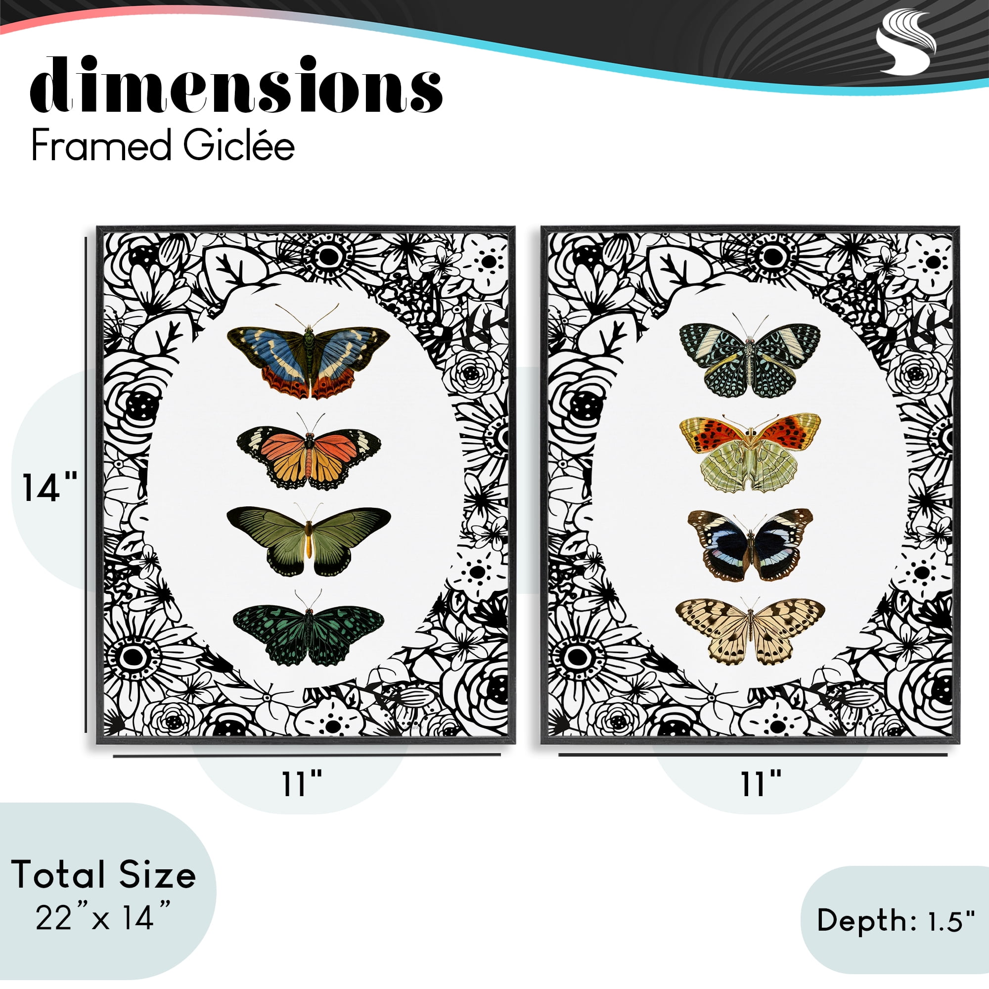 Stupell Industries Floral Butterflies Lineup 2 Piece Black Framed Giclee Art Set, design by Dan Meneely