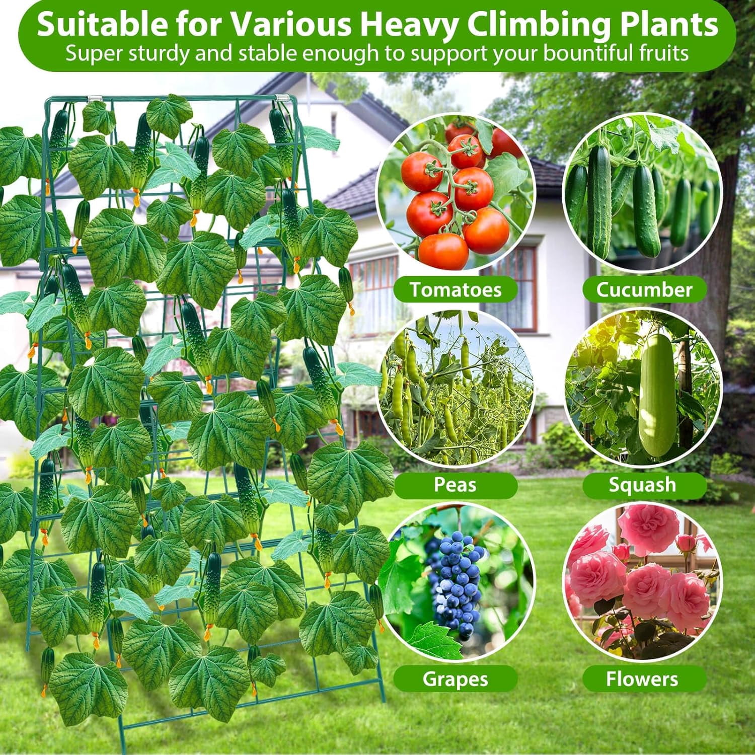 Cucumber Trellis for Raised Garden Bed, Outdoor Sturdy Metal A-Frame Cucumber Trellis Support for Climbing Plants Vegetables and Fruits with Accessories, Easy installation and Easy Harvesting