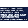 Planters Deluxe Lightly Salted Mixed Nuts with Cashews, Almonds