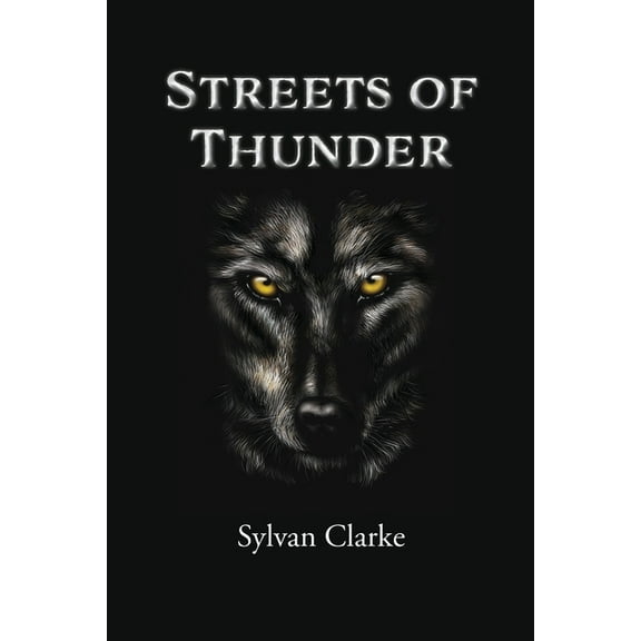 Streets of Thunder (Paperback)