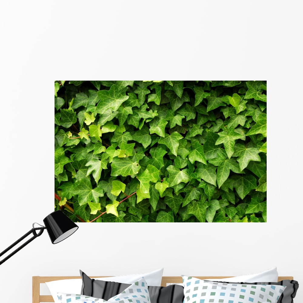 Abstract Lush Green Ivy Wall Mural Decal by Wallmonkeys Vinyl Peel and