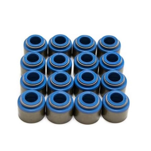 BTR Brian Tooley Racing Valve Seal Kit | Gen II LT1 | .552" ID .342" Stem | High-Temp Viton Seals for Precision Fitment | VS-LT-KIT