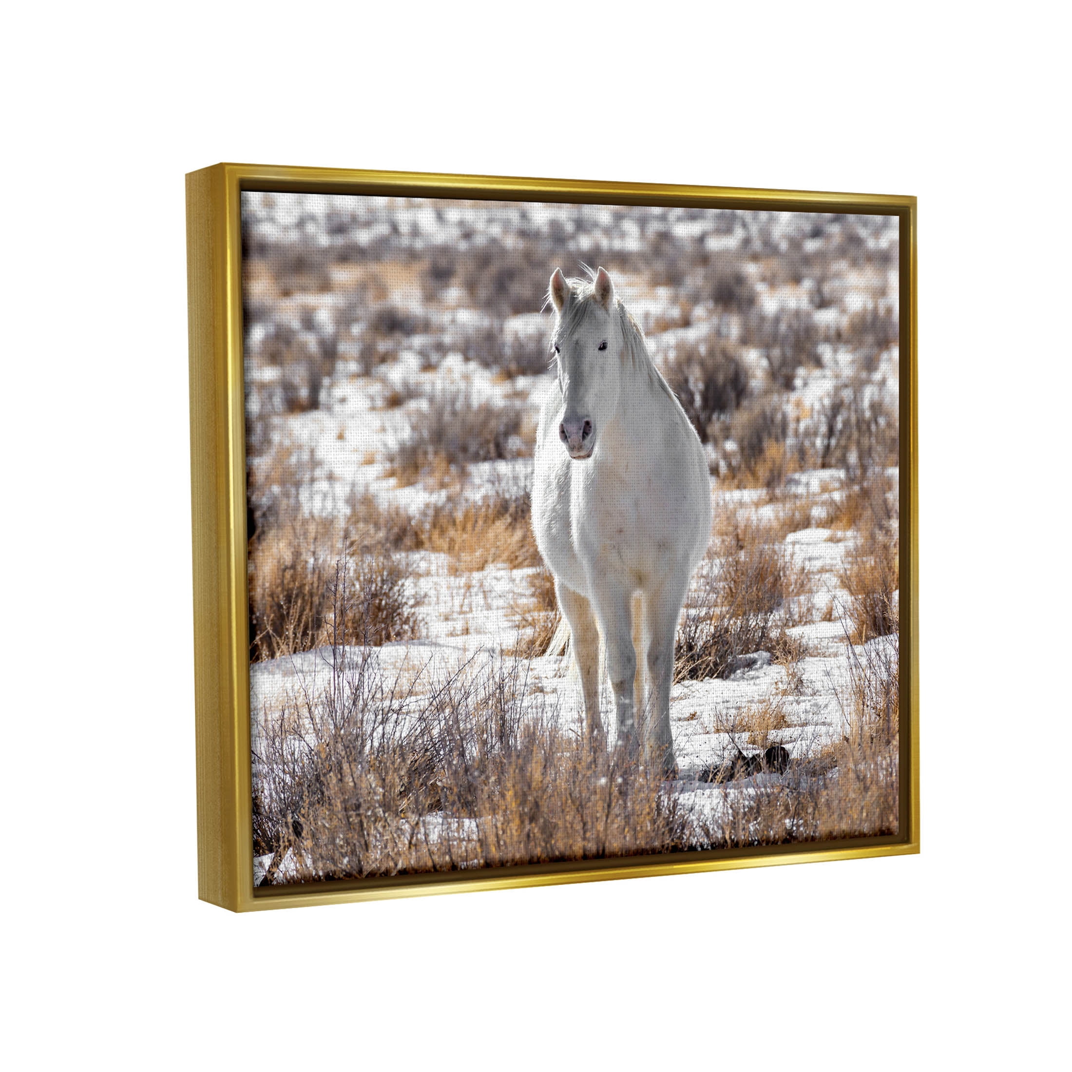 Winter Snow Horse Wildlife Animals & Insects Photograph Metallic Gold Framed Art Print Wall Art