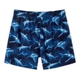 thumbnail image 6 of SURF CUZ Mens Swim Trunks with Compression Liner Quick Dry Bathing Suits Beach Swim Shorts with Pockets, 6 of 6