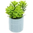 thumbnail image 1 of Miangastore Miniature Potted Plant Blue 1Set 1.8x1Inch Plastic Home Accessory, 1 of 8