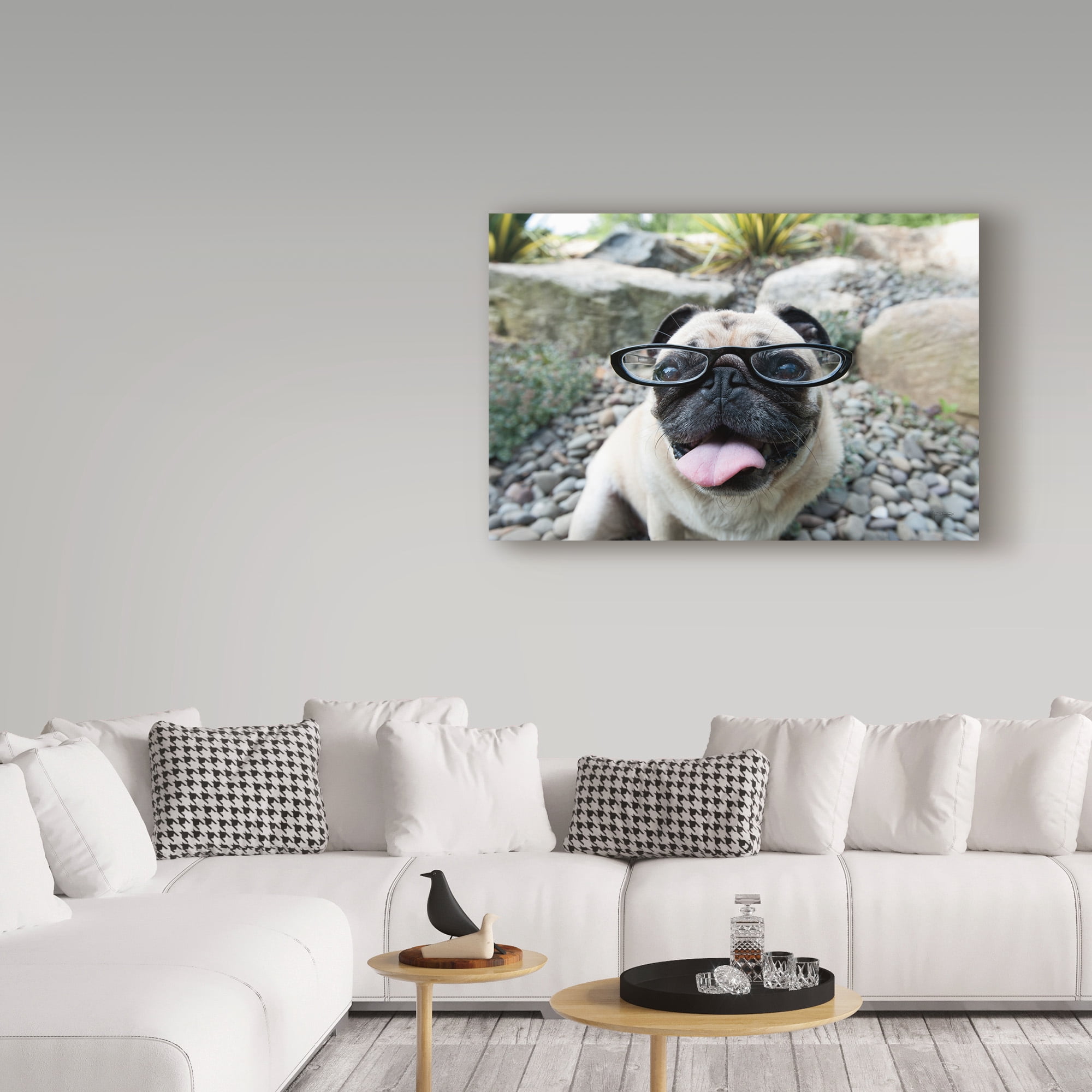 Trademark Fine Art 'Four Eyes' Canvas Art by Jim Dratfield