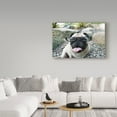 thumbnail image 3 of Trademark Fine Art 'Four Eyes' Canvas Art by Jim Dratfield, 3 of 3