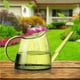 thumbnail image 2 of Regadera De 1,4 L, Regadera De Caño Largo Transparente, Regadera De Jardín De Estilo Nórdico Para Plantas De Riego De Interior Y Exterior Monstrate HA027349-02, 2 of 6