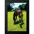 thumbnail image 2 of Hausenflock, Alan 17x24 Black Modern Framed Museum Art Print Titled - Mare and Foal II, 2 of 5