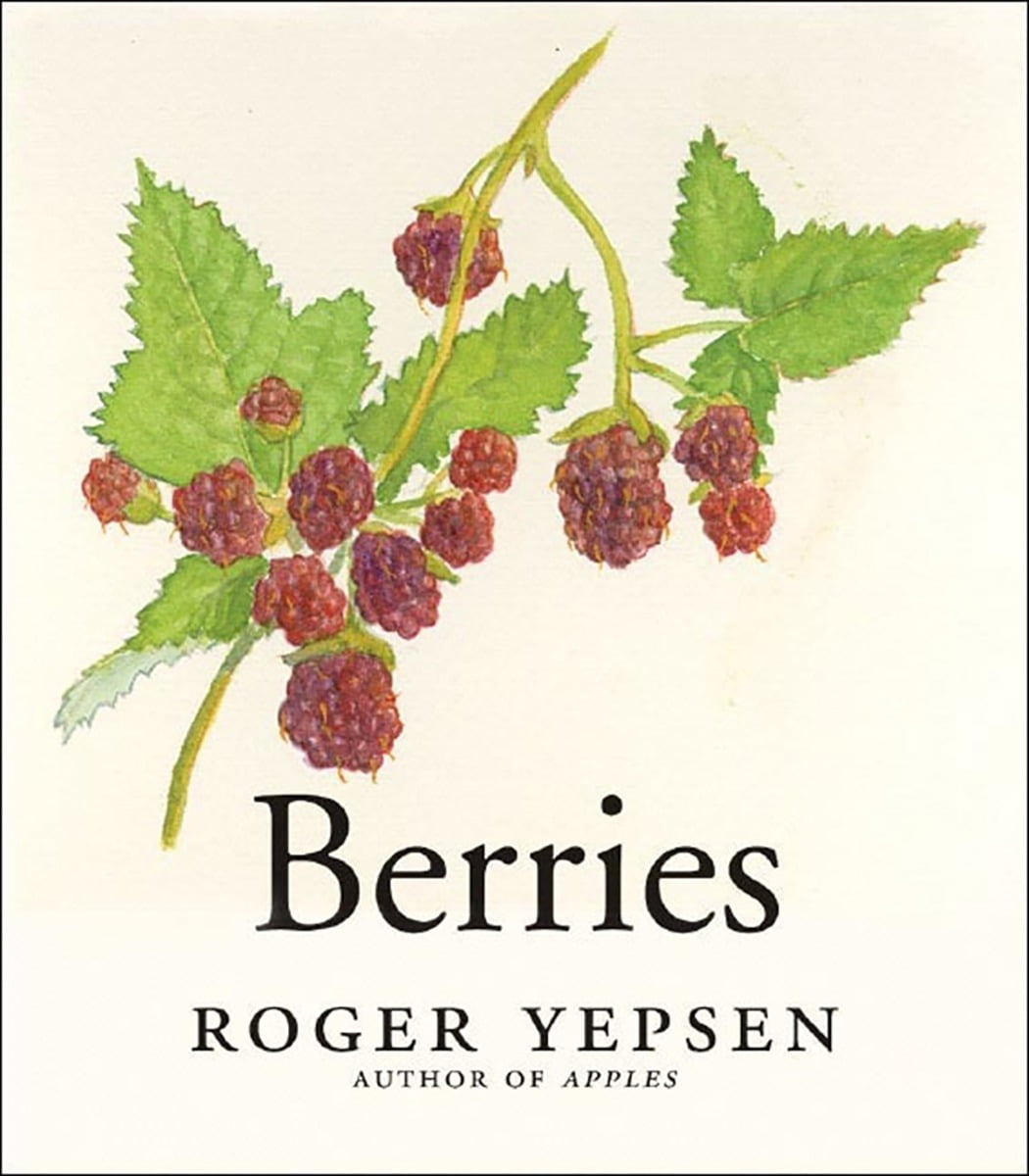 Blueberry перевод на русский язык. Berries перевод. Mixed Berries перевод. Духи название ягоды. Берри перевод.