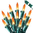 thumbnail image 1 of Cadena de luces Hopolon Orange para Acción de Gracias, 13 pies, 50 quilates, x2, 1 of 7
