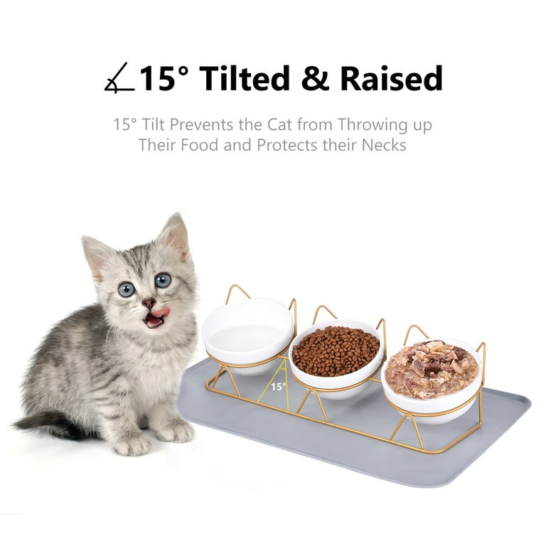 3 bowl cat outlet dish