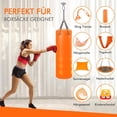 thumbnail image 4 of Kit para colgar hamaca, gancho para silla hamaca, correas para hamaca, columpio interior, columpio sensorial, saco de arena, yoga, gimnasio, 4 of 5
