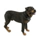 thumbnail image 2 of Estatua de perro cachorro de pie, figura decorativa duradera y muy detallada para escritorio. rottweiler, 2 of 9