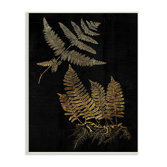 Stupell Industries Fern Plant Illustration Bold Vintage Forest Botanical, 13 x 19, Design by Daphne Polselli