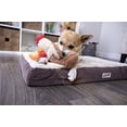thumbnail image 2 of Juguete de Peluche goDog Checkers Gallo Marrón con Chew Guard Technology para Perro Pequeño, 2 of 10