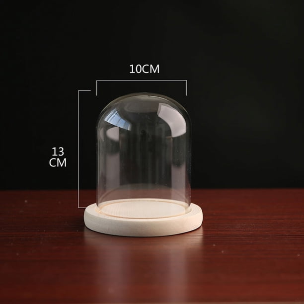 Flor eterna cubierta de vidrio artesanía creativa adornos florero de vidrio transparente soporte varios tamaños