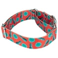 thumbnail image 4 of Country Brook Petz® 1 1/2 inch Tropical Tango Martingale Dog Collar, Medium, 4 of 5