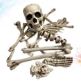thumbnail image 3 of 19 piezas de accesorios de esqueleto para decoraciones de Halloween., 3 of 3