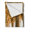 thumbnail image 2 of Pillar Soft Flannel Fleece Throw Blanket, Historical Theme Gallery of Pillars at Agra Fort Digital Image, Cozy Plush for Indoor and Outdoor Use, 60" x 80", Pale Coffee and Beige, by Ambesonne, 2 of 5