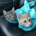 thumbnail image 5 of 2pcs Aberfields Cat Carrier Pouch, Aberfields Cozy Comfort Carrier, 5 of 9
