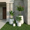 thumbnail image 3 of LeisureMod Orchid Planter Set White, 3 of 11