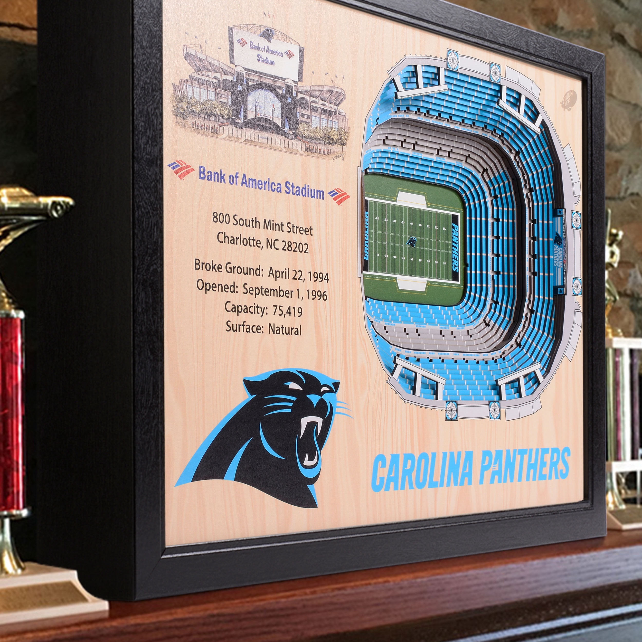 YouTheFan NFL Carolina Panthers 25-layer Stadiumview Wall Art