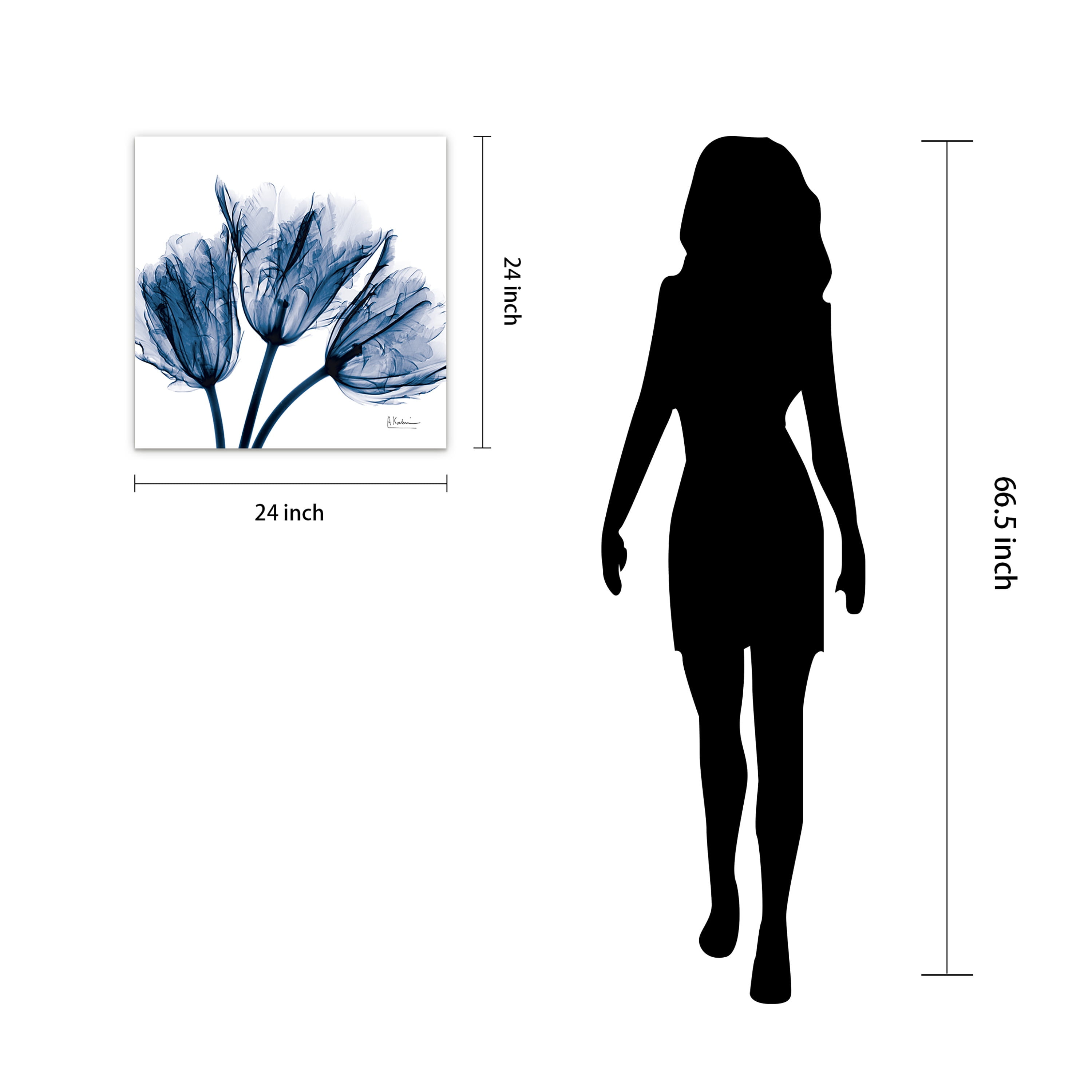 Empire Art Direct Blue Tulip X-Ray Frameless Free Floating Tempered Glass Panel Graphic Wall Art, 24" x 24" x 0.2", Ready to Hang