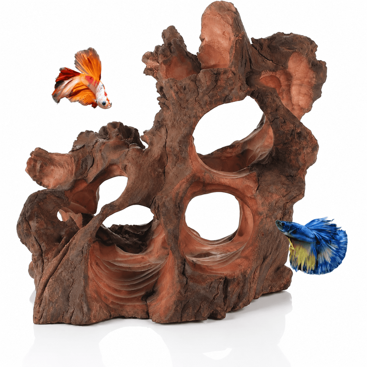 Natural Driftwood Aquarium Cave Betta Fish Hideout for Aquarium Fish Tank Decorations 6-10" -Reptile Hide-Snake Hide-Cave for Cichlids Habitat Shelter for Crayfish