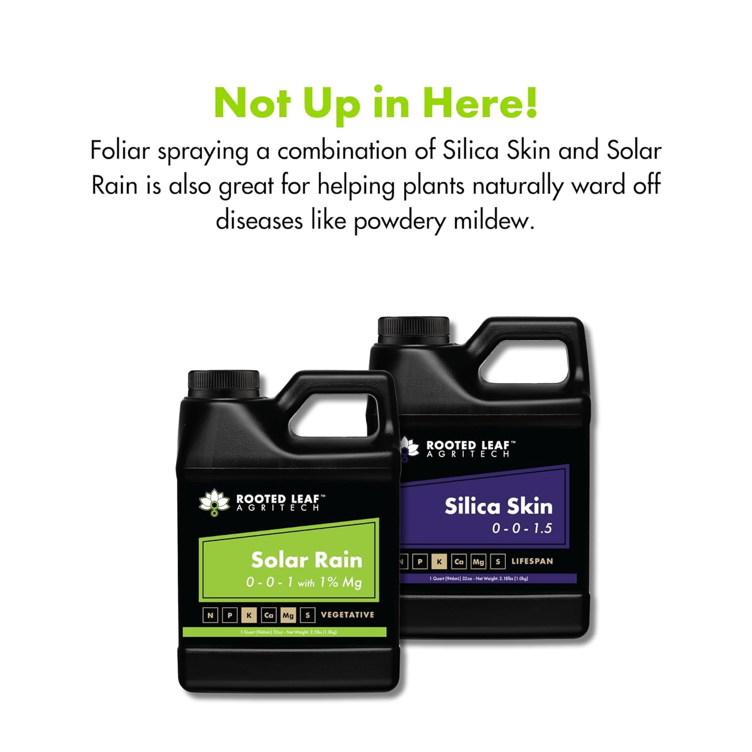 Silica Skin - Silica Fertilizer for Plants, Derived from Natural Sand with Plant Based Organic Acids, hydroponics, Soil/Coco/peat, foliar Spray - 2.5 Gallon