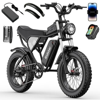 48V 13Ah Battery AKEZ-ZX,750W Electric Bike for Adults,20
