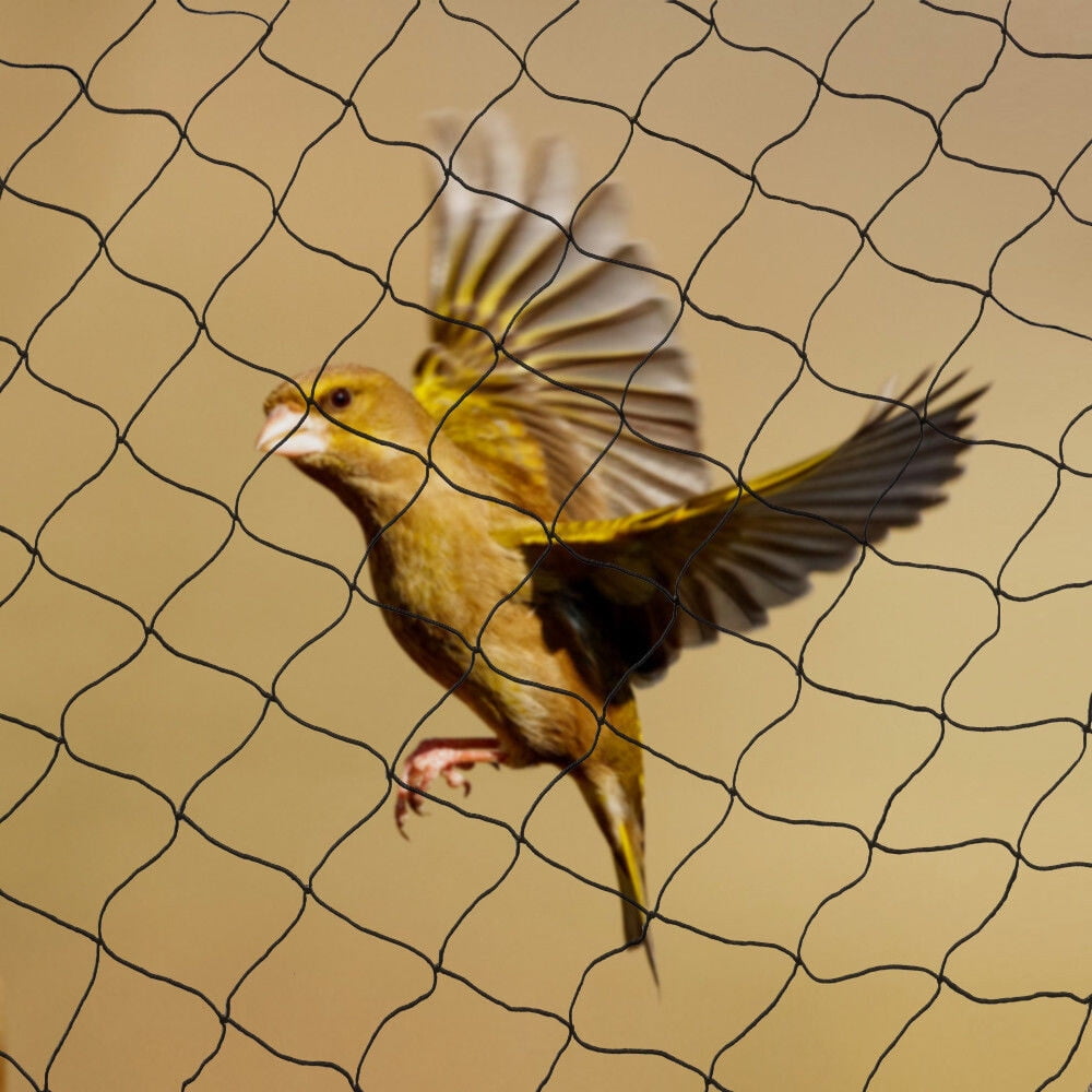 50' x 100' Heavy-Duty Anti-Bird Netting for Gardens and Poultry Protection