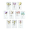 thumbnail image 1 of KAKOWELY 12 tarjetas de felicitación con flores secas para el Día del Maestro o San Valentín (estilo aleatorio), 1 of 5
